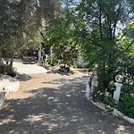 Ali Baba 2* غومْبيت