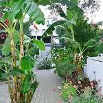 Ali Baba فندق