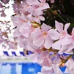 فندق Ali Baba 2*