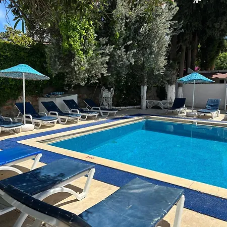 호텔 Ali Baba 검벳