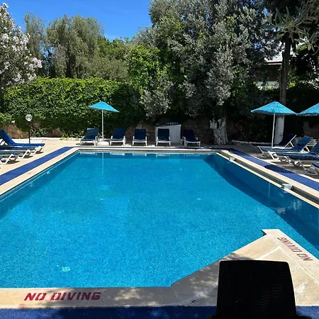 호텔 Ali Baba 검벳