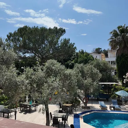 Hotel Ali Baba
