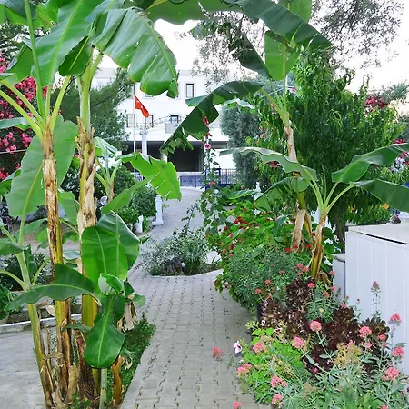 Ali Baba Ξενοδοχείο