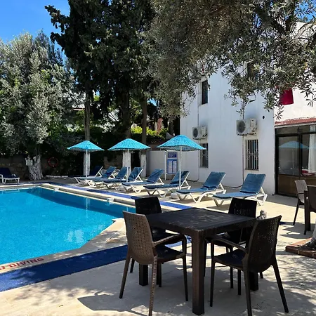 居姆贝特阿里巴巴酒店 酒店 2*