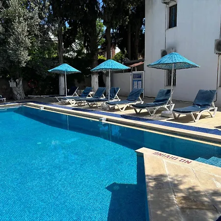 酒店 居姆贝特阿里巴巴酒店 2*