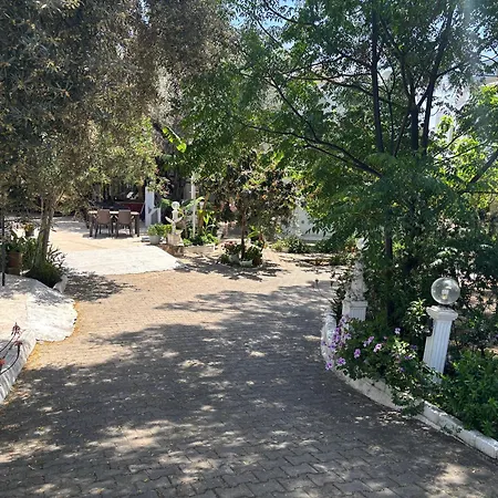 Ali Baba 2* Gumbet