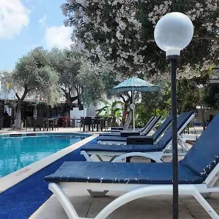 Hotel Ali Baba 2*