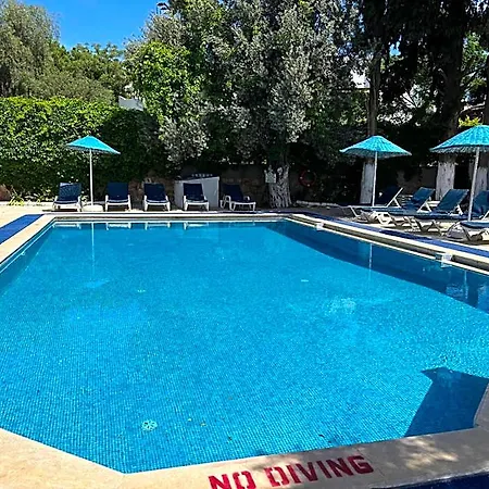 Hotel Ali Baba 2*