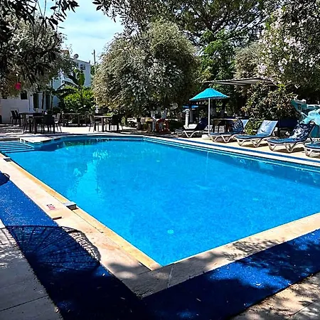 Ali Baba 2* Gümbet
