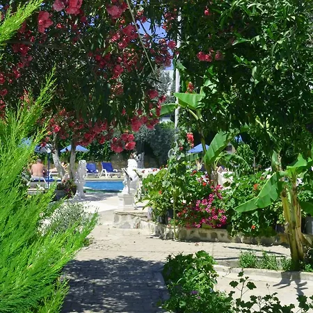 Hotel Ali Baba 2*
