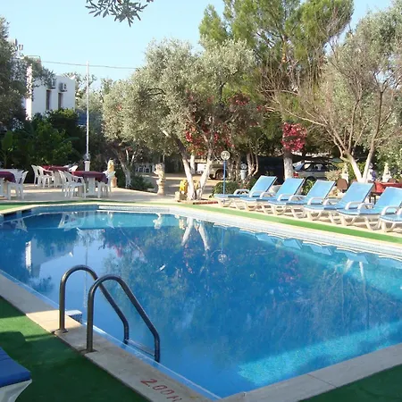 酒店 居姆贝特阿里巴巴酒店 2*