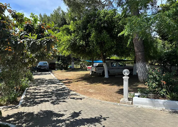 Ali Baba غومْبيت