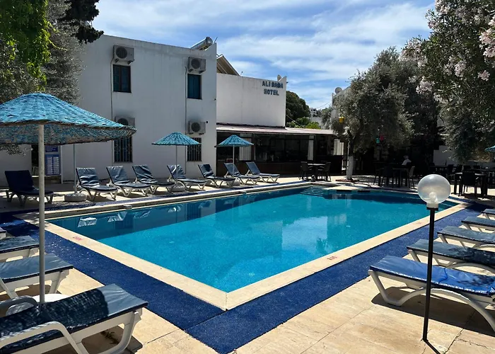 Ali Baba فندق 2*