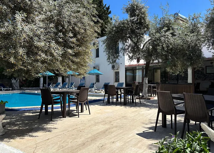 Ali Baba غومْبيت