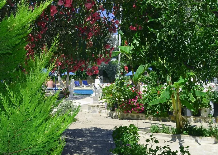 فندق Ali Baba 2*